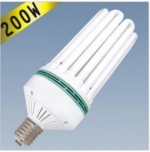 300W節(jié)能燈 產(chǎn)品指南與照明工程應用